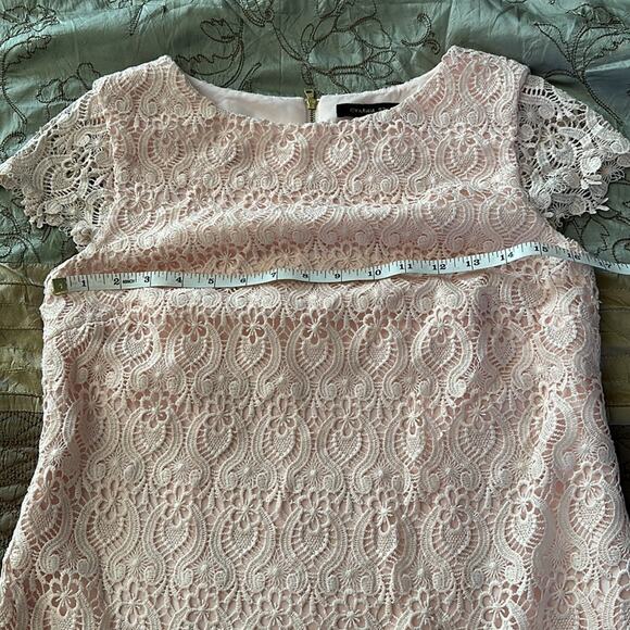 Cynthia Steffe | Reese Cap Sleeve Lace Shift Dress Size 2 - Picture 12 of 15
